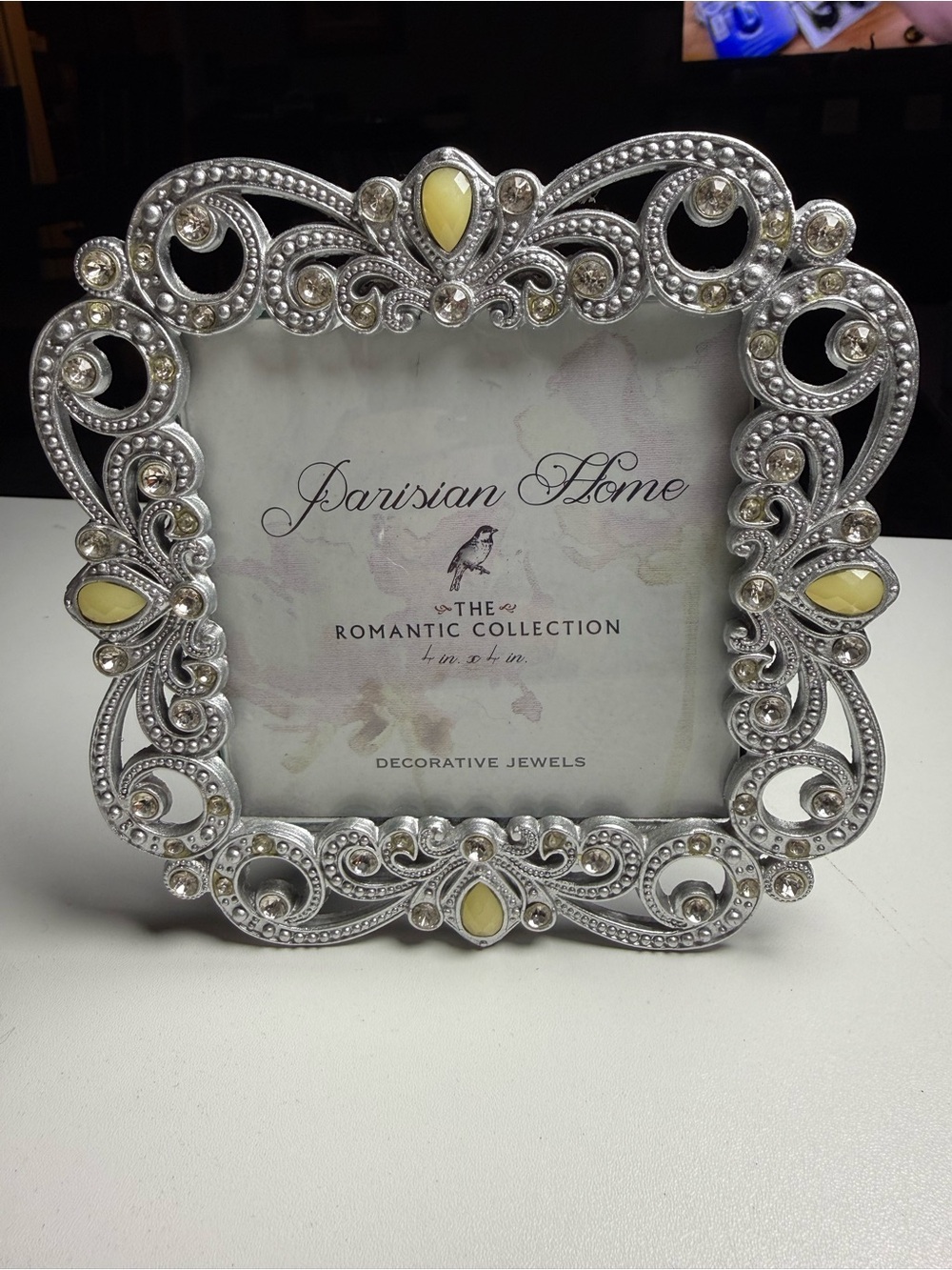 Parisian Works Silver Picture Frame with Cream Accents